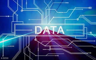 传统企业为何将大数据应用聚焦于内部服务 成本、合规与效率的权衡